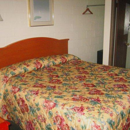Sleep-Ees Inn, Saginaw & Frankenmuth 객실 사진